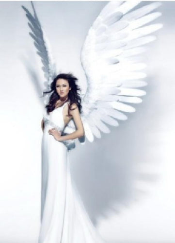 hight quality adult angel copy feathers wings model catwalk shows stage performance large props nice lingerie shows props
